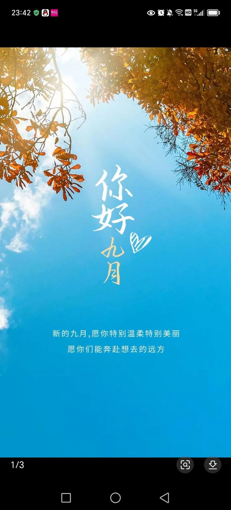 风吹来的消息:网络热议,你了解多少?