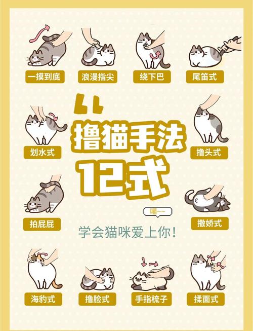 如何下载捡到千年猫？新手玩家必看下载教程！