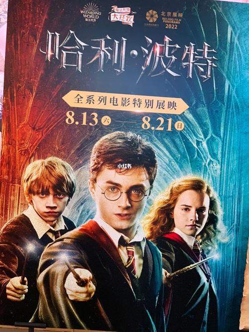 哈利波特与死亡圣器下下载：高清完整版资源分享