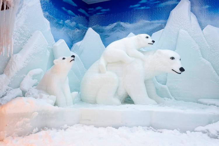 冬日冰雪乐园，带你体验冰雪猛犸象的魅力！