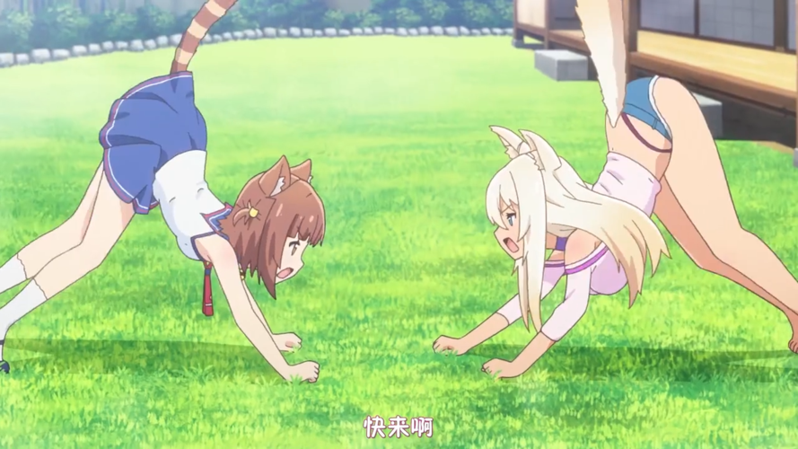 巧克力香子兰的诱惑：猫娘的西点店故事