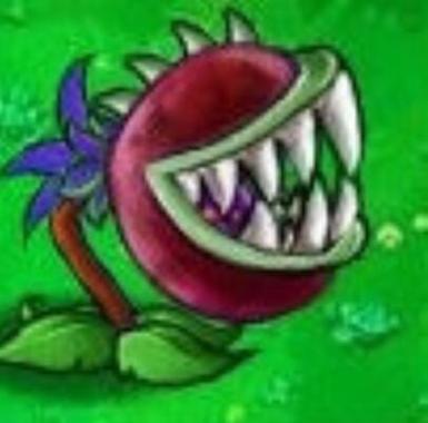 植物大战僵尸新植物龙蒺藜：吞噬僵尸的神器？