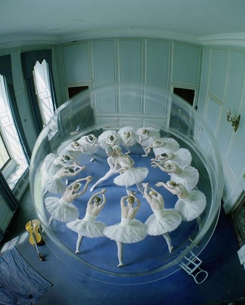 梦幻之地版本大全：带你了解电影全貌