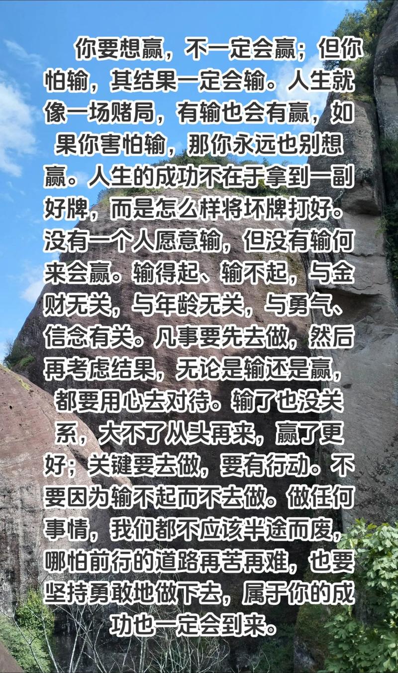 赢翻人生指南：简单易懂的成功方法，助你走向巅峰