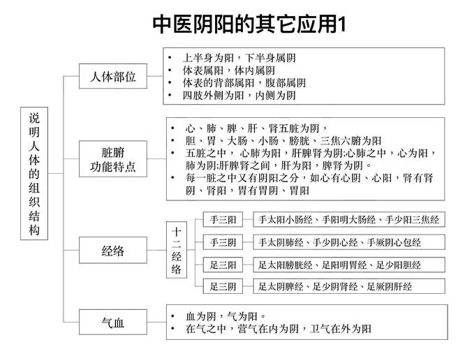 阴阳术是什么?简单易懂的阴阳术知识科普讲解