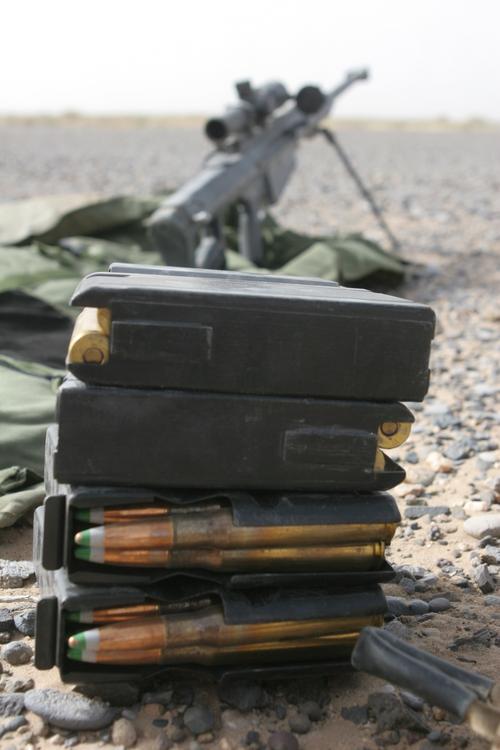 09式狙击步枪详细介绍：优缺点对比与实战效果