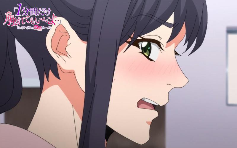 想玩房东养成记?先看看这个版本大全!