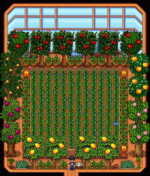 如何布局星露谷物语温室？最大化收益技巧分享