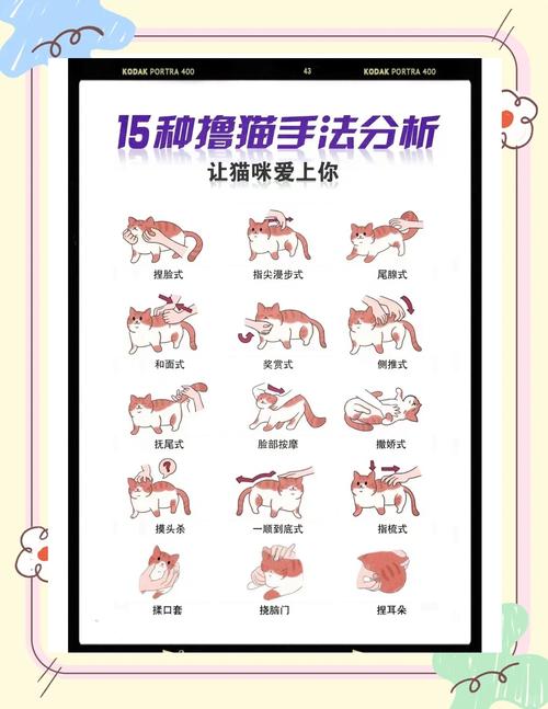 如何下载捡到千年猫？新手玩家必看下载教程！