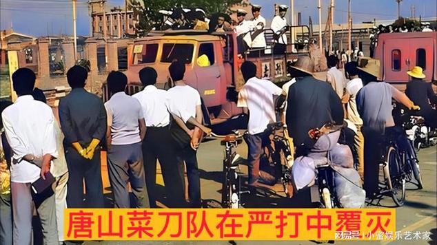 震惊！唐山菜刀队：六股势力，上百人作恶多端的全记录