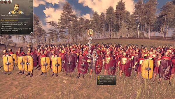 樱姬1-4游戏攻略大全:新手快速上手秘籍