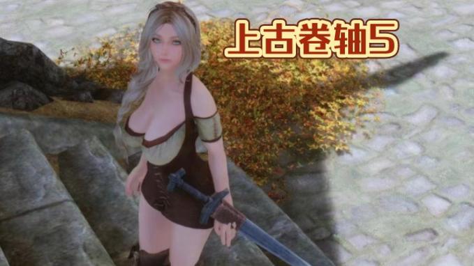 上古卷轴4mod体验：让你欲罢不能的MOD推荐