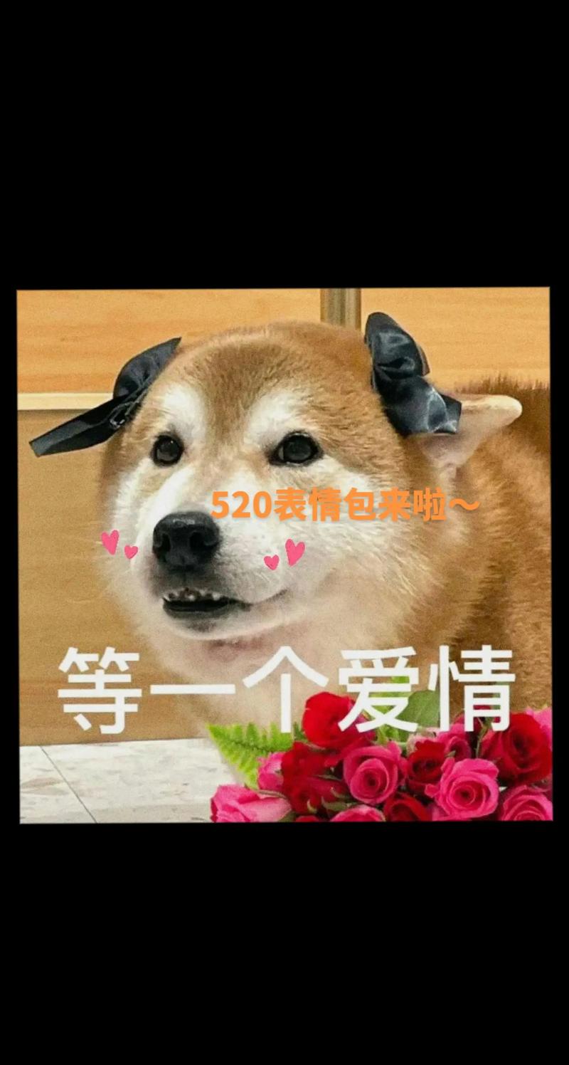 520表白神器！最新最全520表情包免费下载