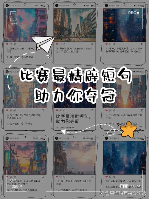 竞技比赛：冠军之路的汗水与泪水，拼搏与坚持