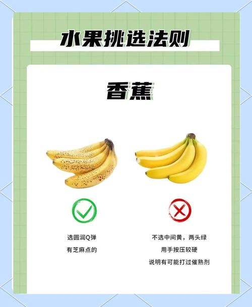 大菠萝福建导航APP入口指南，轻松掌握使用技巧