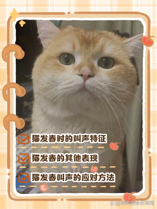 以下哪种动物的叫声和猫咪差不多?带你了解它们的叫声秘密!