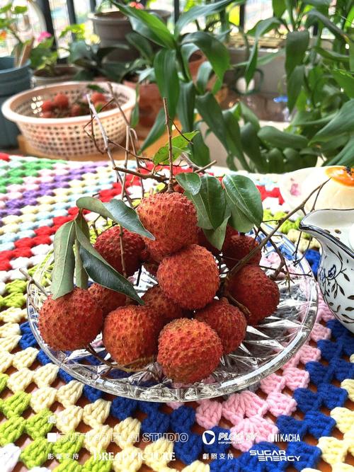 “日啖荔枝三百颗”的水果:是什么让苏轼如此热爱岭南?