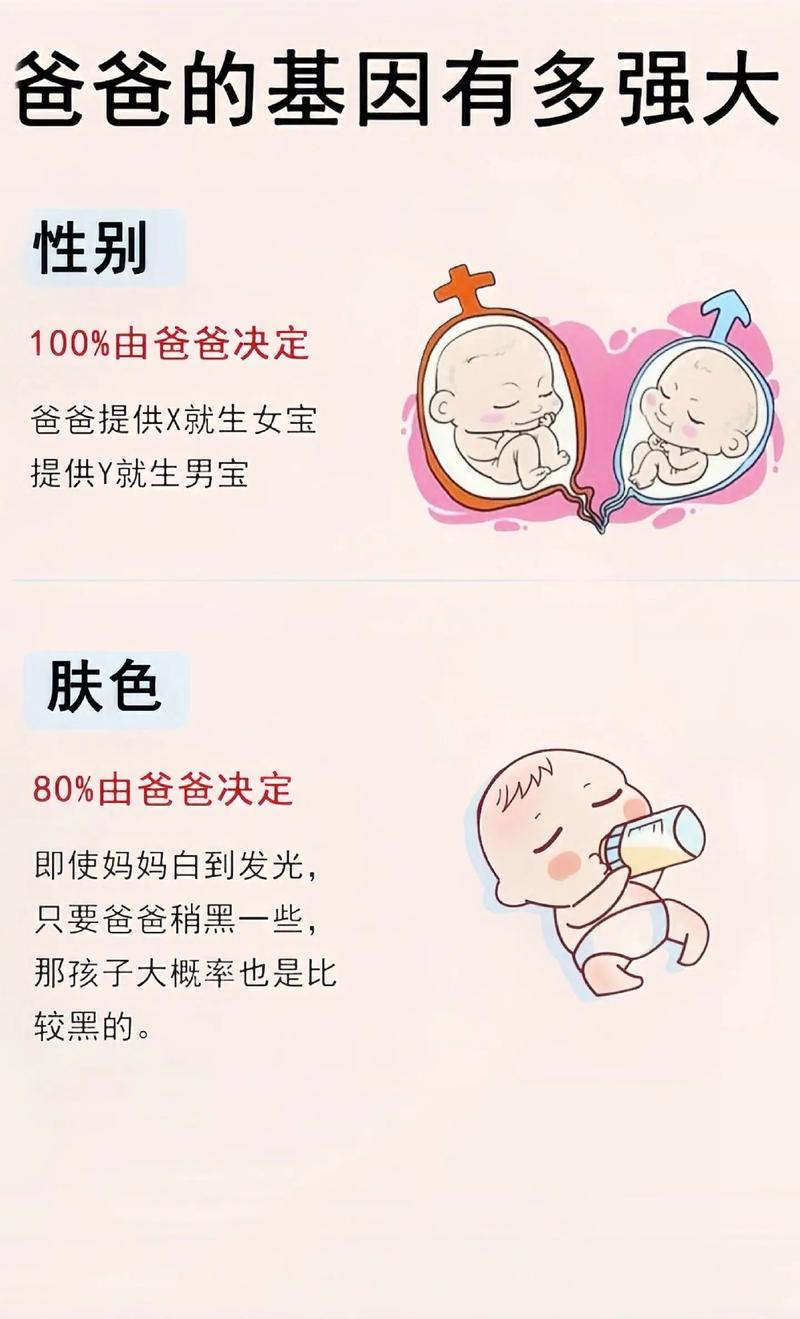 预测宝宝长相的秘密：基因遗传与AI技术的结合