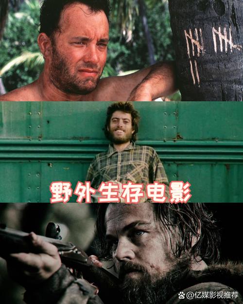 极限求生挑战：野外生存的智慧与勇气