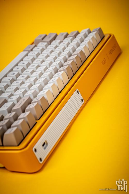 JYZJ官网详解：功能介绍及用户体验分享