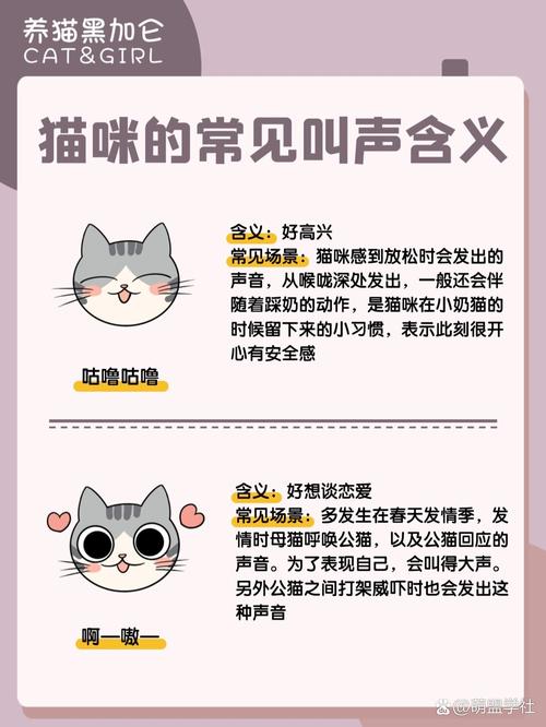 以下哪种动物的叫声和猫咪差不多?带你了解它们的叫声秘密!