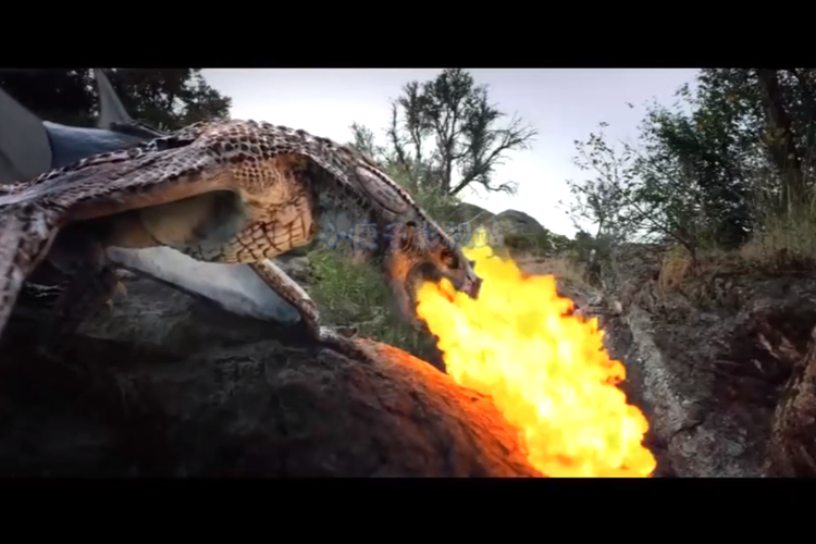 驯龙战:16位明星的残酷特训,你支持谁?