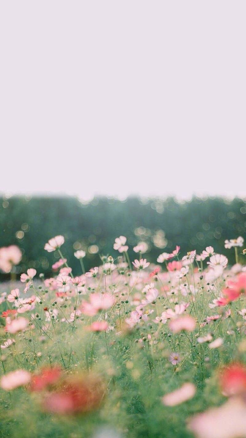 烂漫高清资源下载地址分享，快速下载无压力