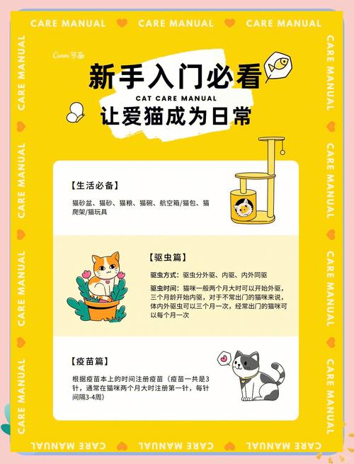 当你的猫咪下载地址及游戏玩法介绍，新手必看