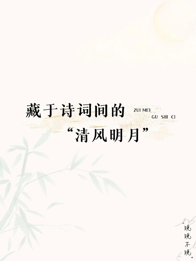 风月书解读:细品文字背后的深层含义