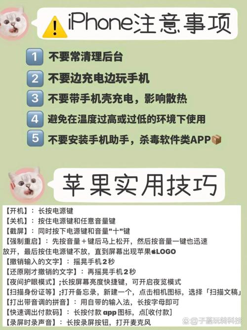 疯狂手机：价格、配置及购买渠道详解