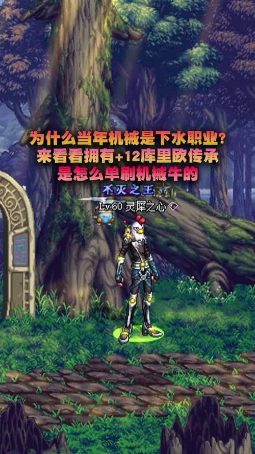 库里欧的传承与其他装备对比：如何选择最优搭配