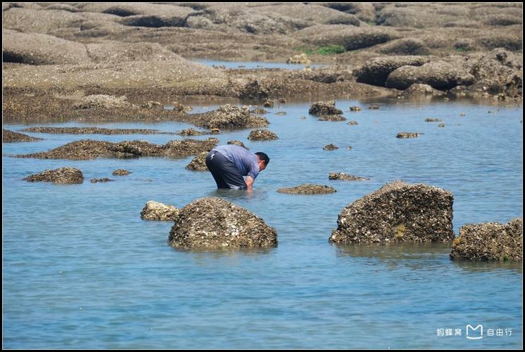 一步步教你注册姜太公的小岛,快速拥有你的海岛