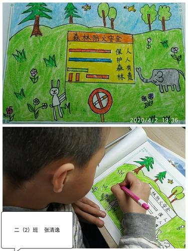 森林保护：如何守护绿色的家园，共建人与自然和谐的未来