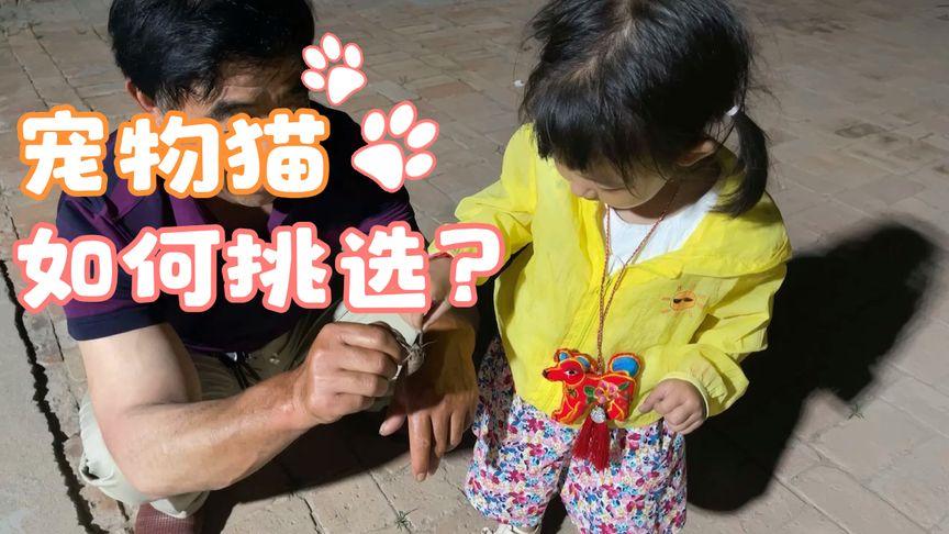 甜心妈妈杨过游戏体验：好玩吗？值不值得玩？