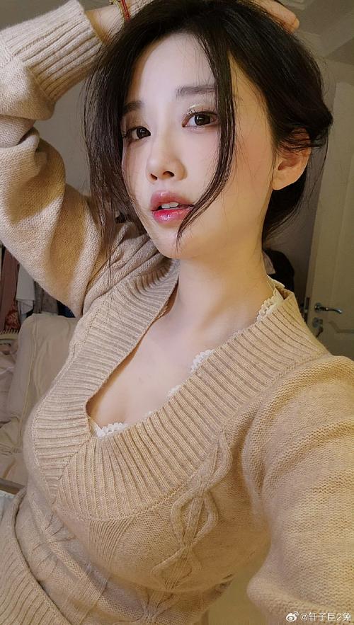 轩子巨二兔下载地址推荐:最新最全的资源合集