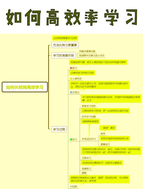 Online学习资源推荐：高效提升你的学习效率