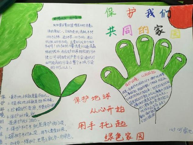 森林保护：如何守护绿色的家园，共建人与自然和谐的未来