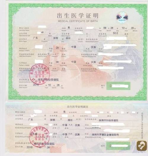 如何下载出生证明?官方下载地址及注意事项