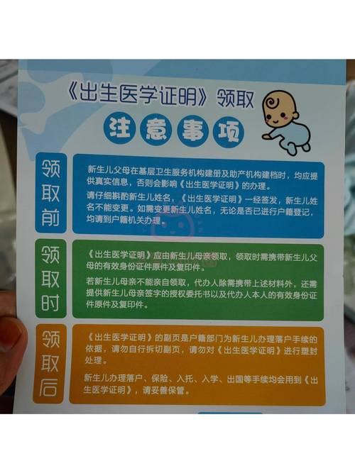 如何下载出生证明?官方下载地址及注意事项