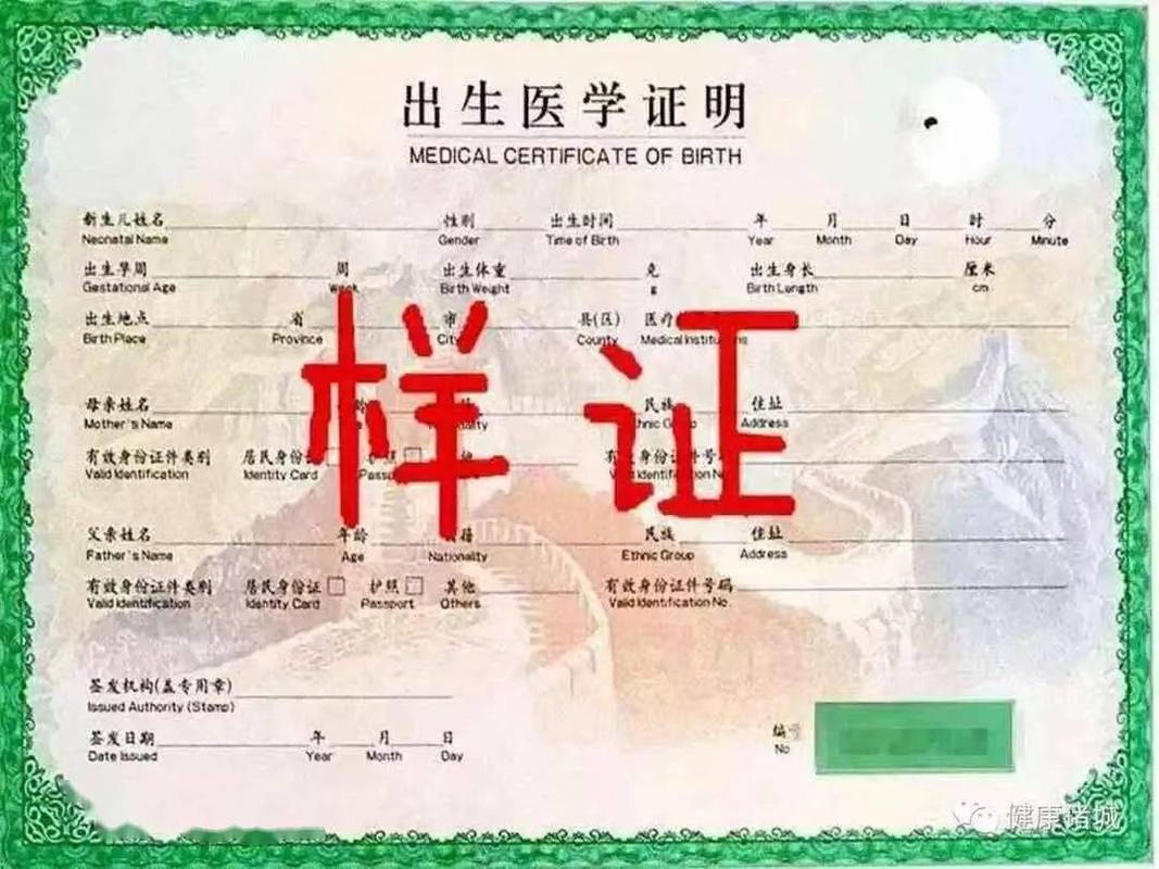 如何下载出生证明?官方下载地址及注意事项