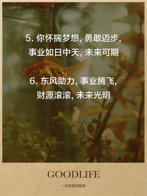 3 3战略:助你事业成功,步步高升