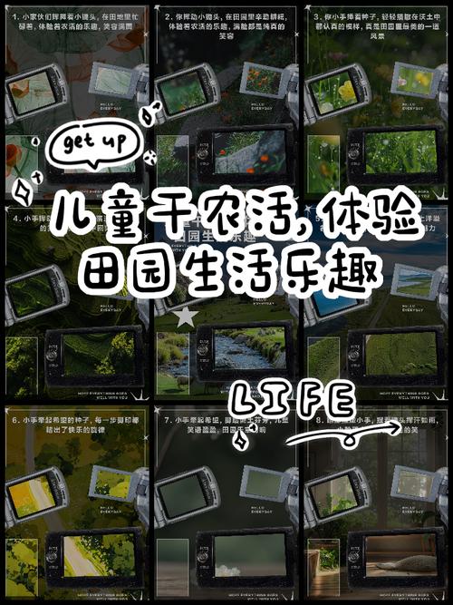 淘金农场：轻松种田，快乐收获！体验田园生活