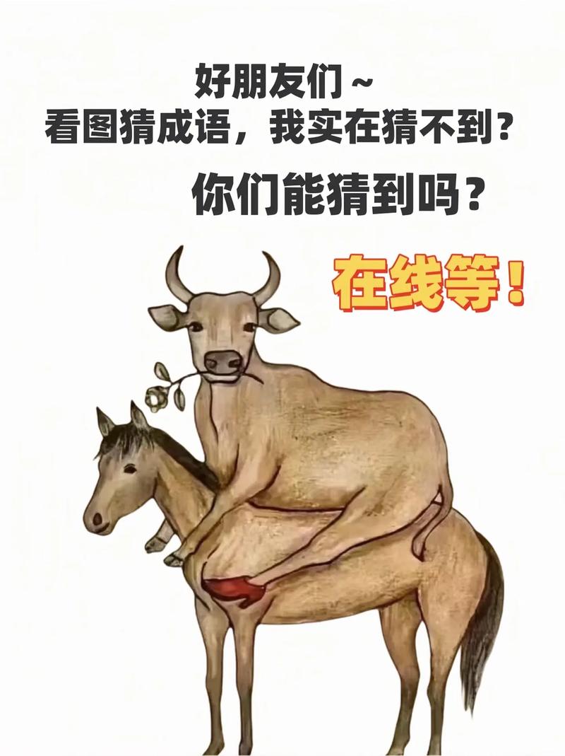 最新看图猜成语:每日更新题目,让你玩个不停