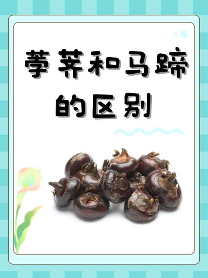 解开谜团：马蹄是马的哪个部位？图文详解