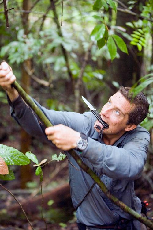 极限求生挑战：野外生存的智慧与勇气