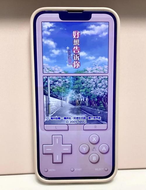 史上最全NDS模拟器2.6中文版资源及配置指南