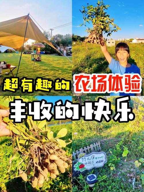 淘金农场：轻松种田，快乐收获！体验田园生活