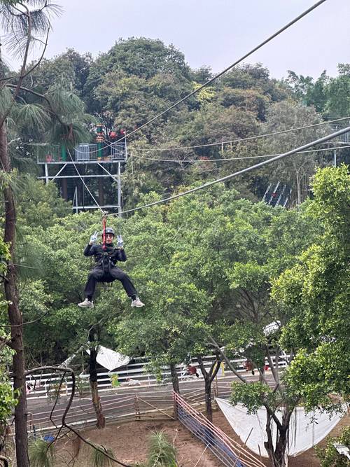 丛林V0.20最新版本更新了什么？玩家深度体验