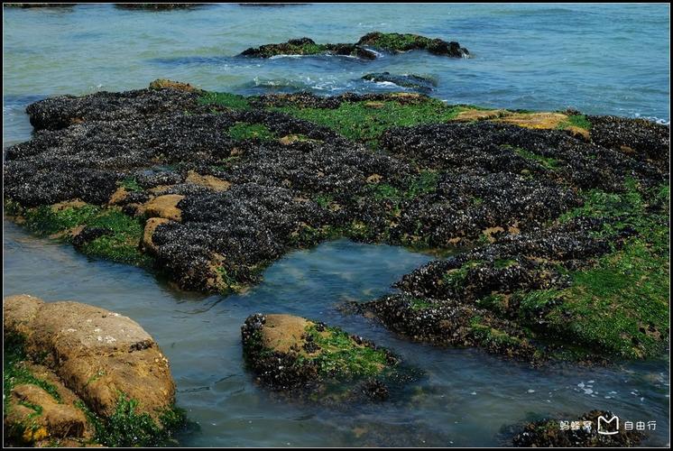 一步步教你注册姜太公的小岛,快速拥有你的海岛