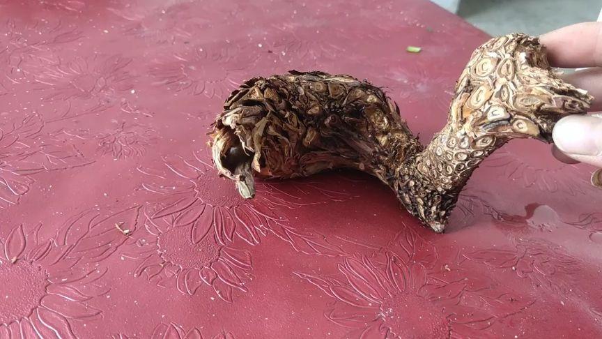 如何进行宝物鉴定？避免上当受骗的实用技巧